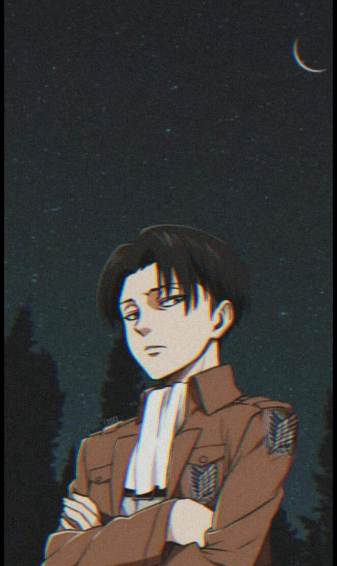 Levi