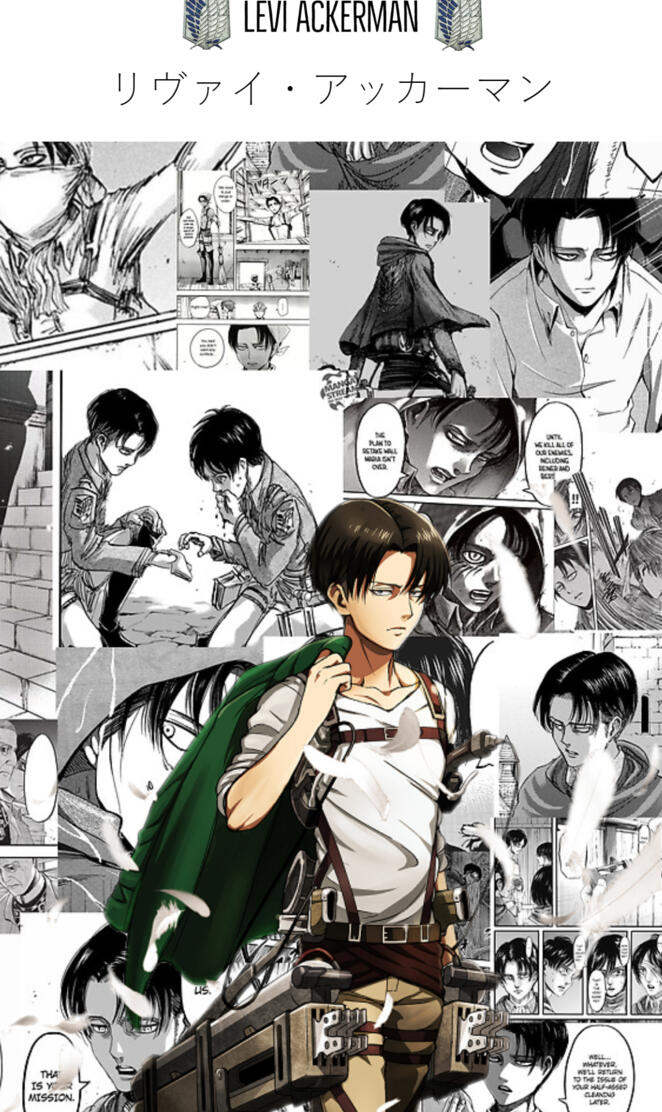 Levi Wallpaper