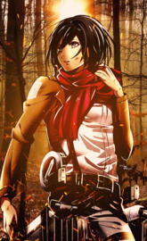 Mikasa ackerman