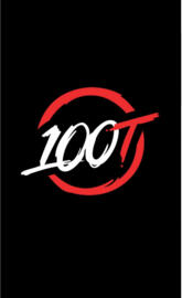 100 thieves