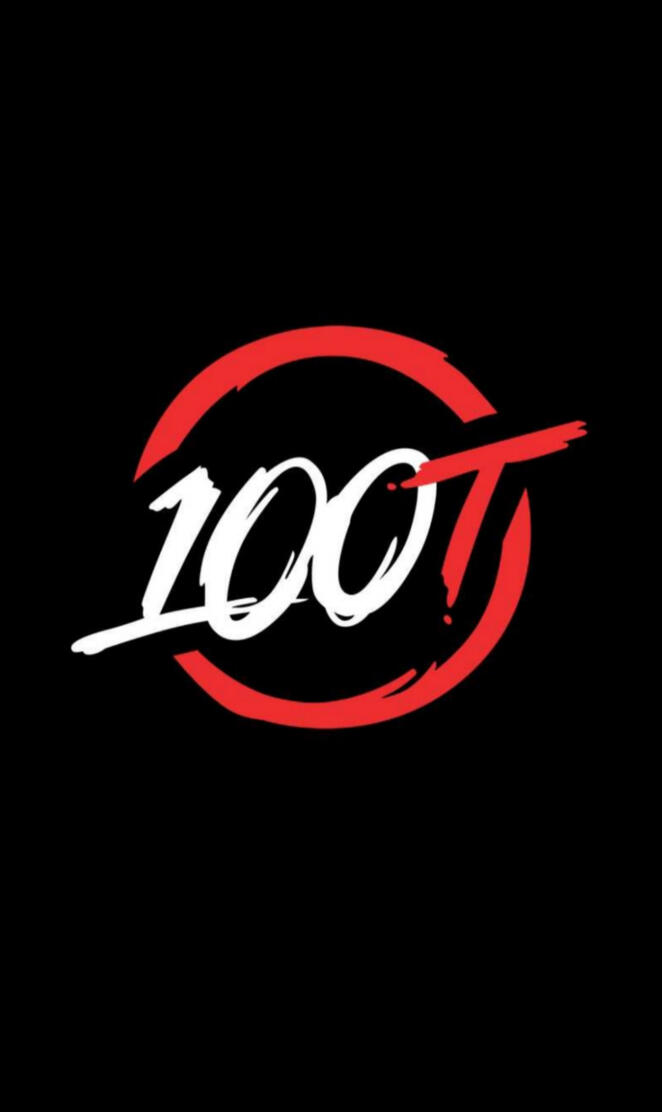 100 thieves
