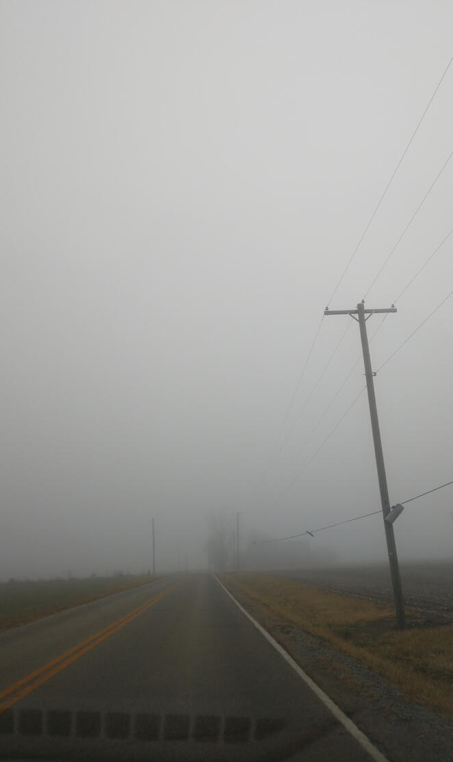 Foggy Drive