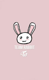 Team Rabbit