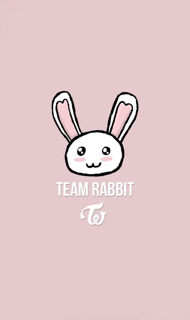 Team Rabbit