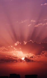 New Generations Wall