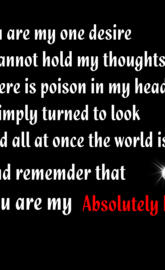 My Absolutely Desire