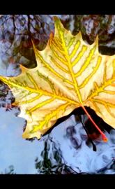 surface attention II