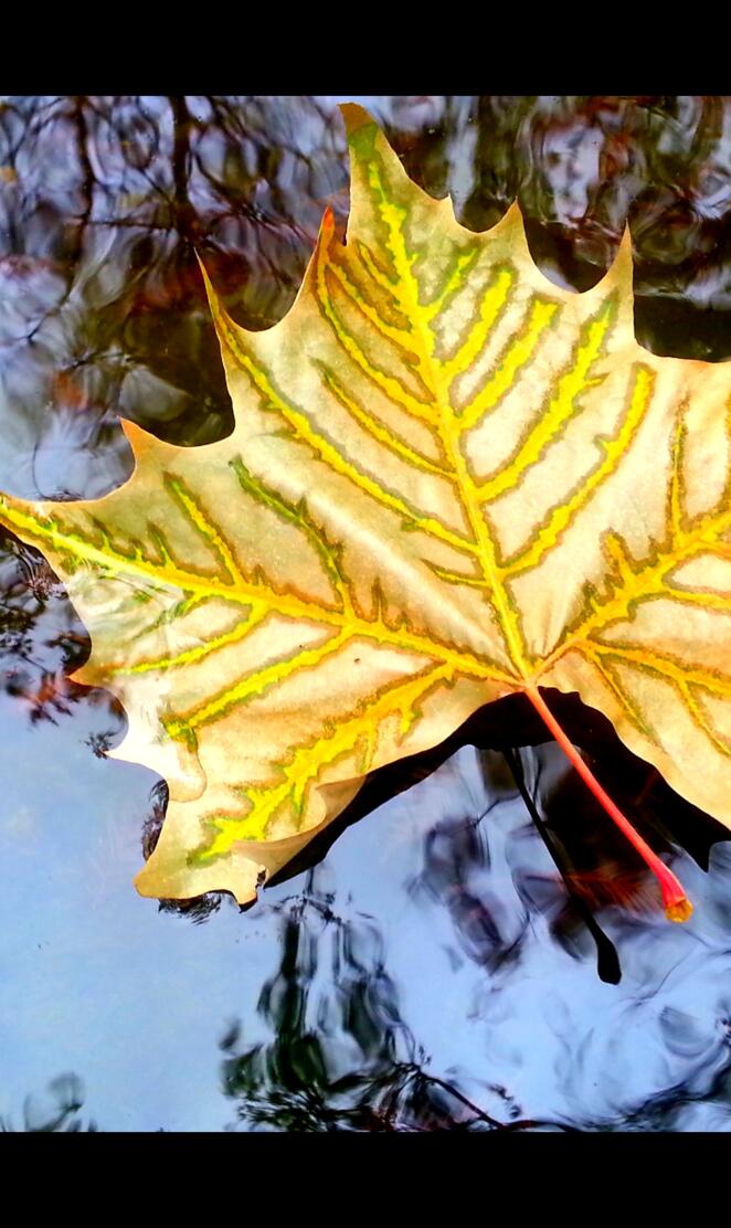 surface attention II