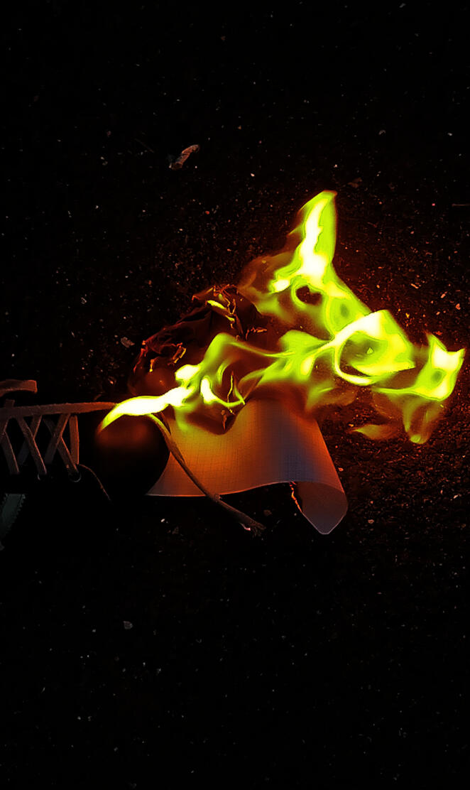 La chaussure en Flamme