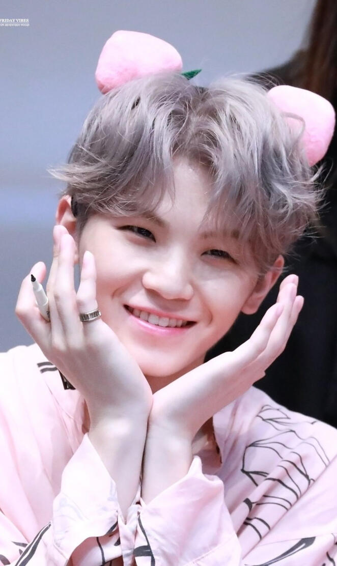 SVT - Cute Woozi