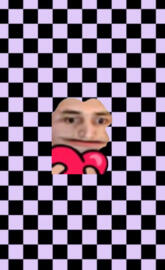 xqcL Checkered