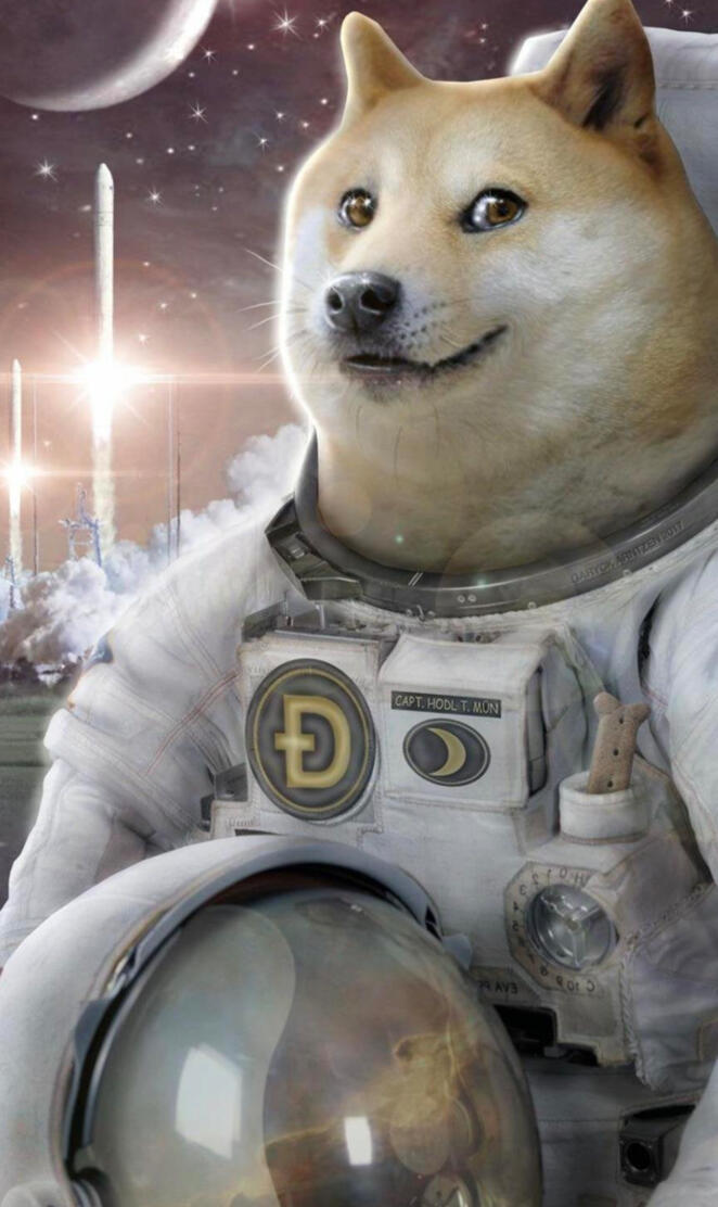 Dogecoin Moon