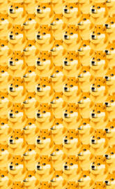 Doge Wallpaper