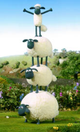 Sean the sheep