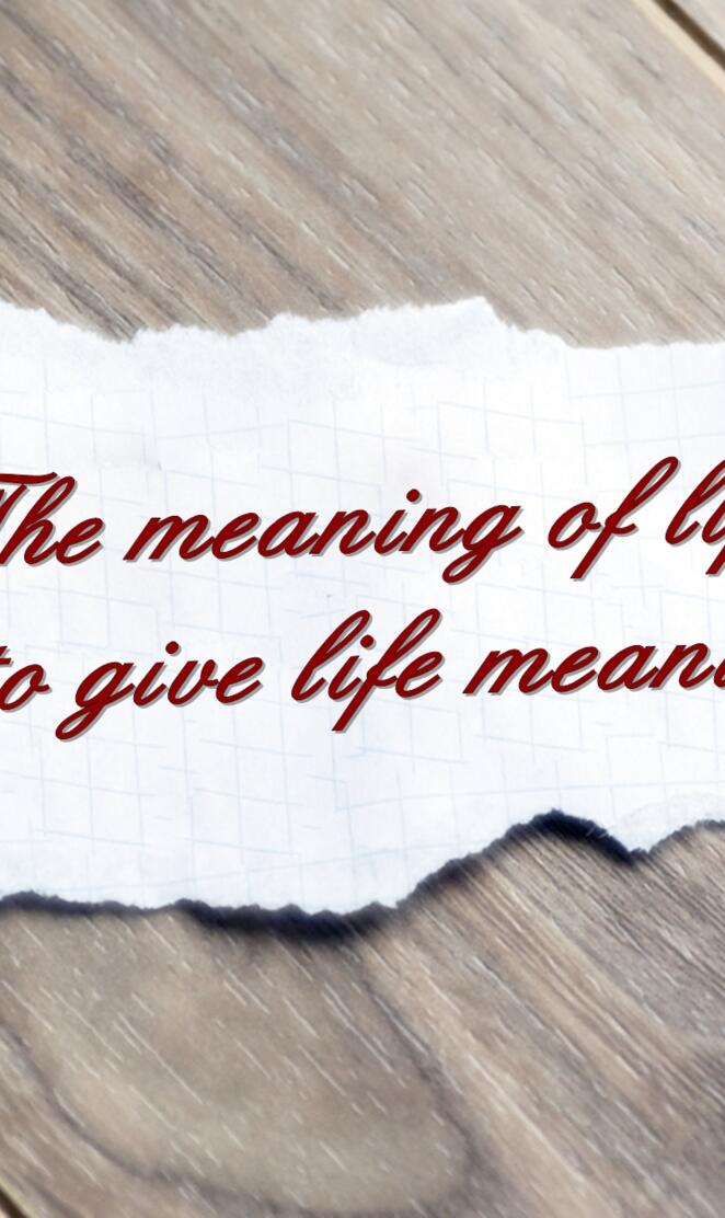 meaning of life