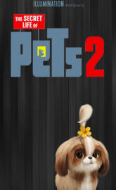 Daisy Pets2