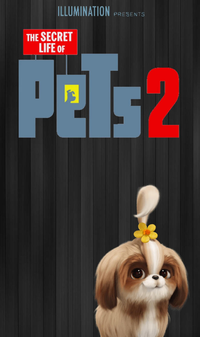 Daisy Pets2