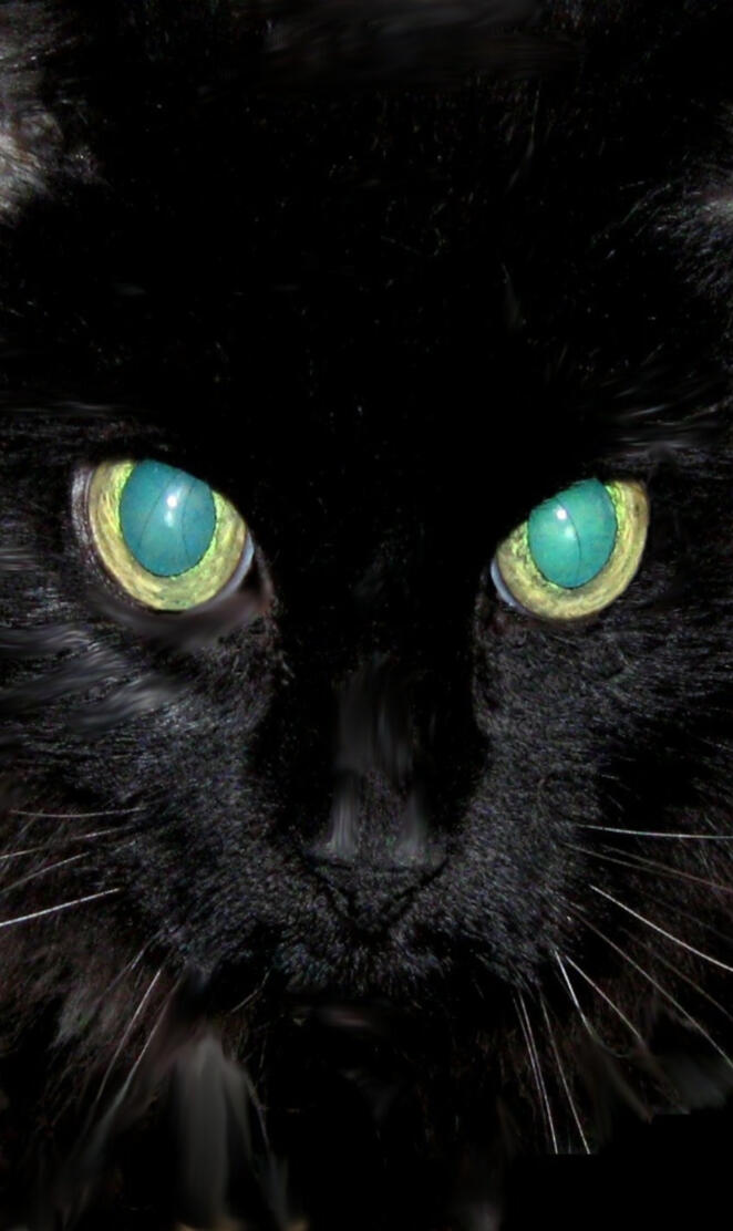 Cats Eyes