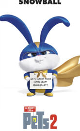 The Secret Life Pets