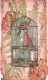 Tropical Birdcage