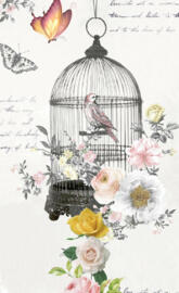 The Birdcage