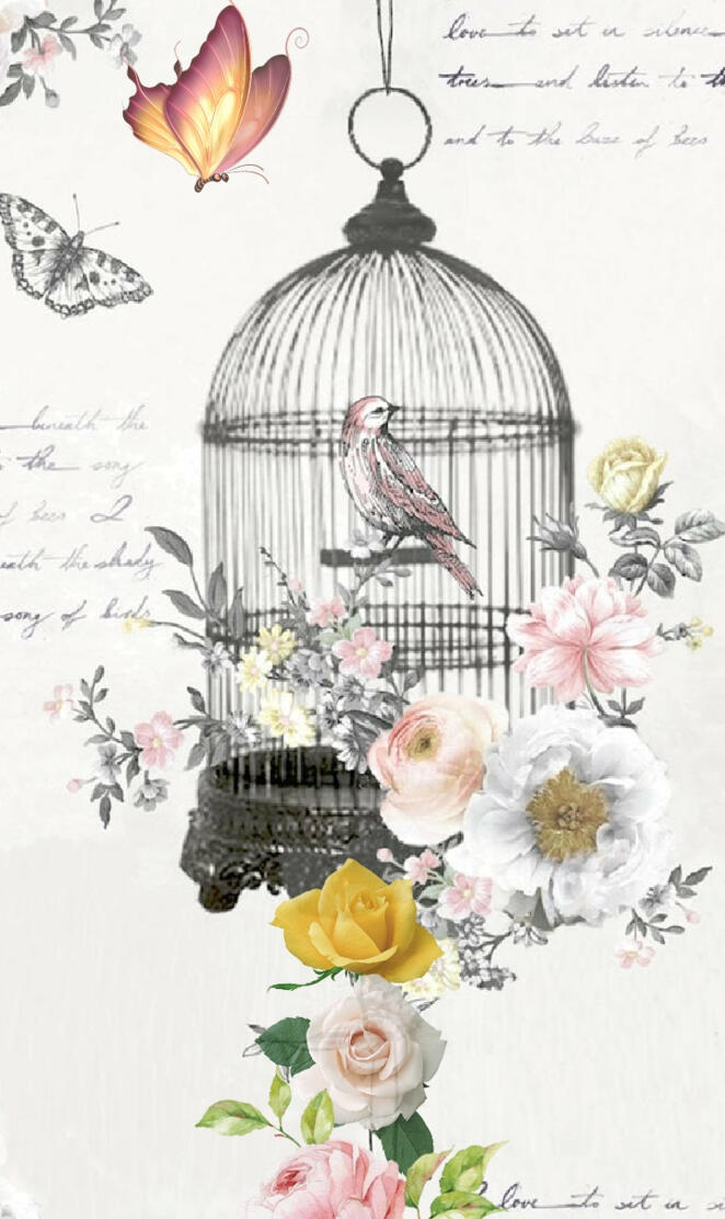 The Birdcage