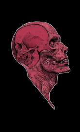 Anatomy psychopath