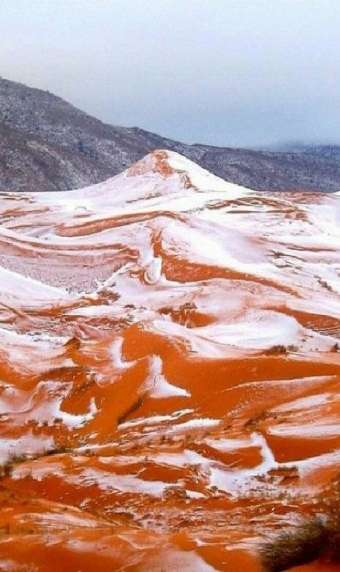 SNOW The Sahara