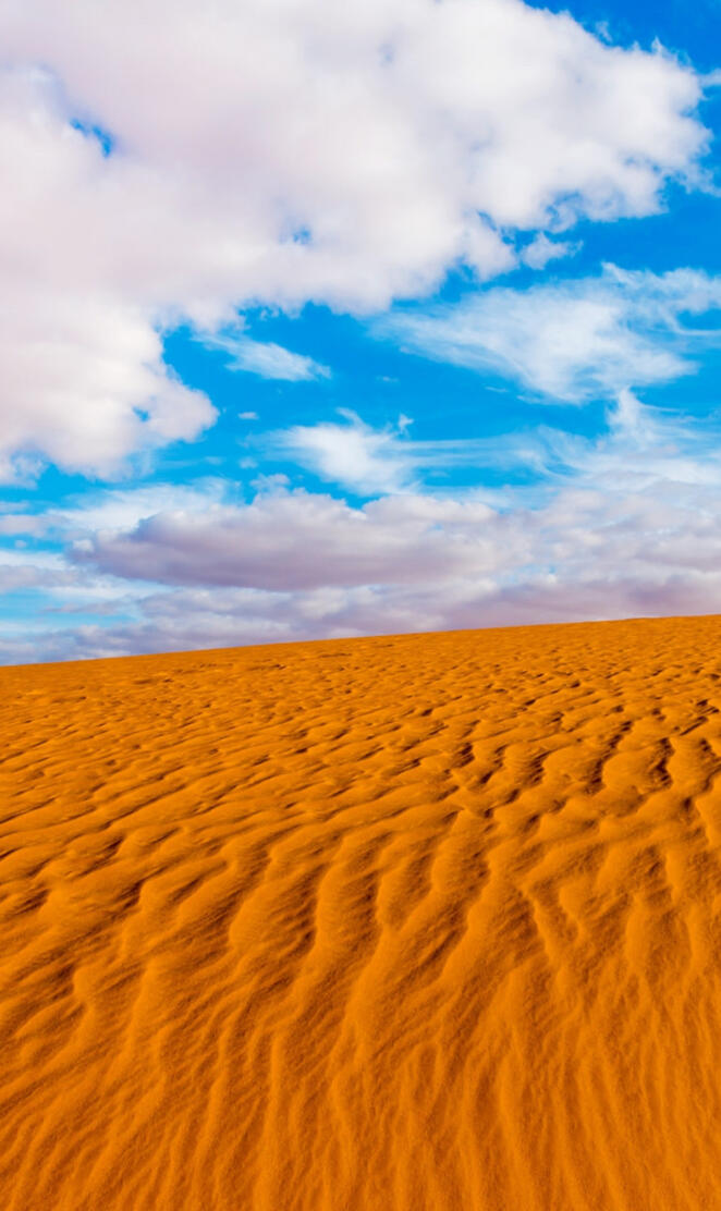 Algeria sahara
