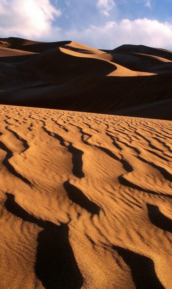 Algerian Sahara