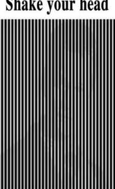 Shake Your Head