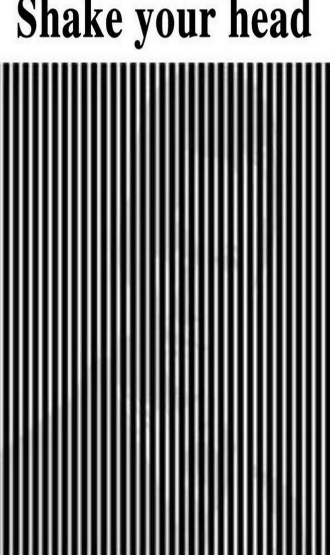 Shake Your Head