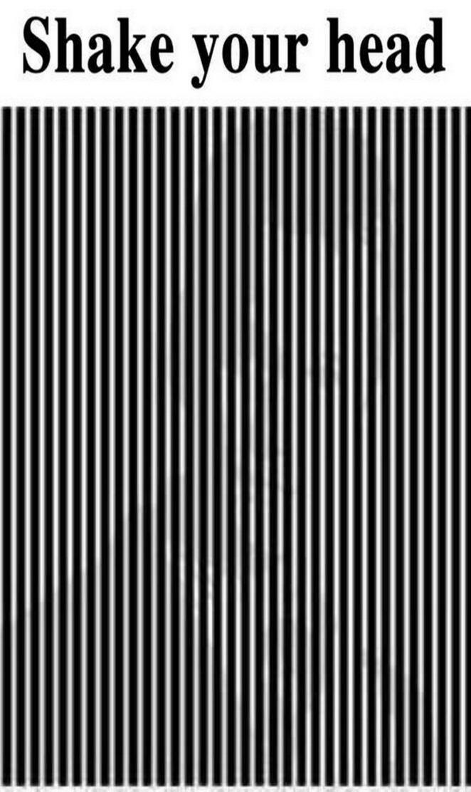 Shake your Head