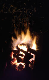 We will rise from ashe