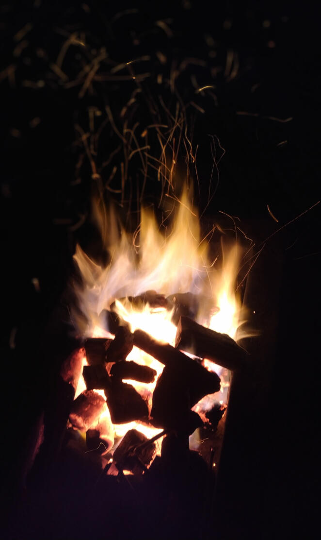 We will rise from ashe