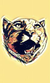 Mountain Lion Art