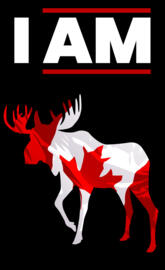 Canadian Moose