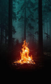 Fire in the woods