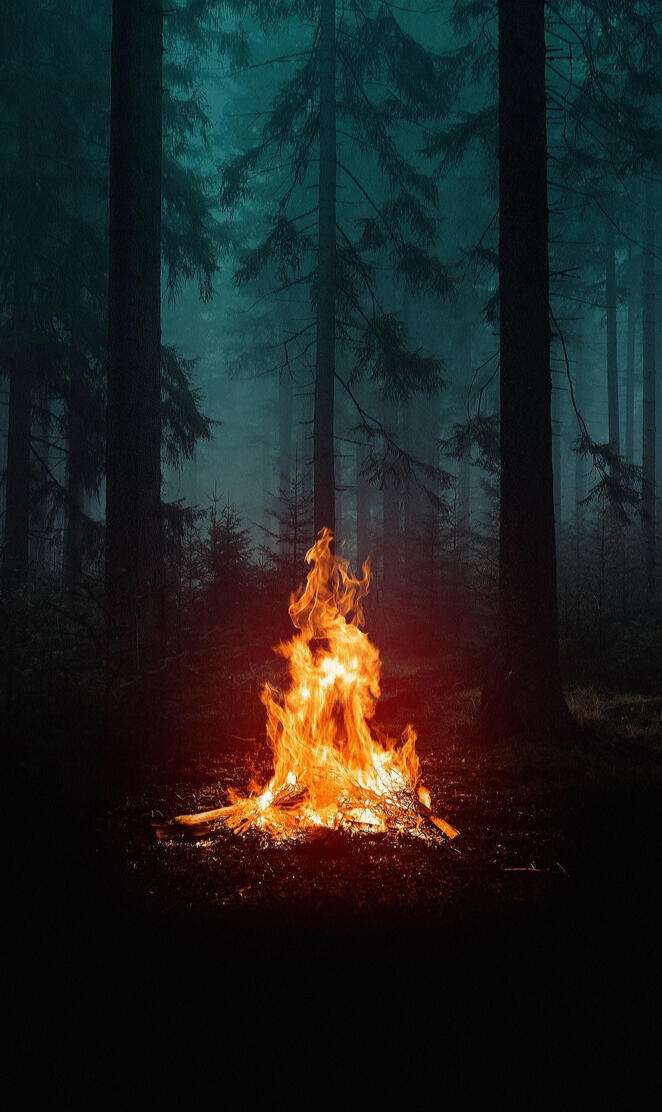 Fire in the woods