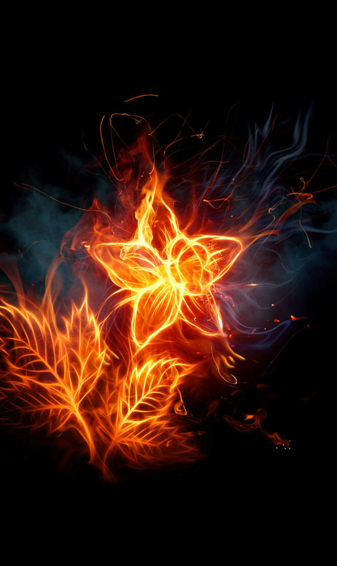 Burning Flower