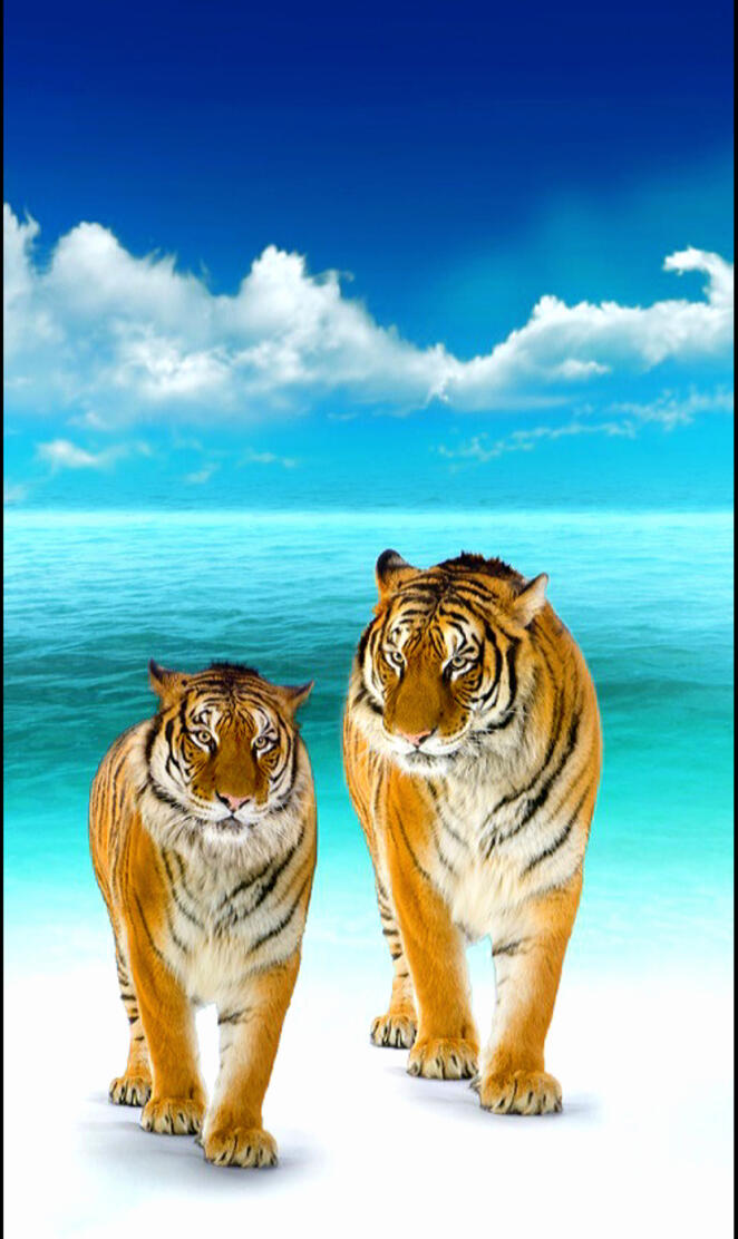 Tigers