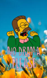 Flanders No Drama