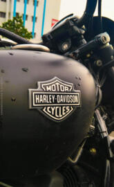 Harley Bob Marley