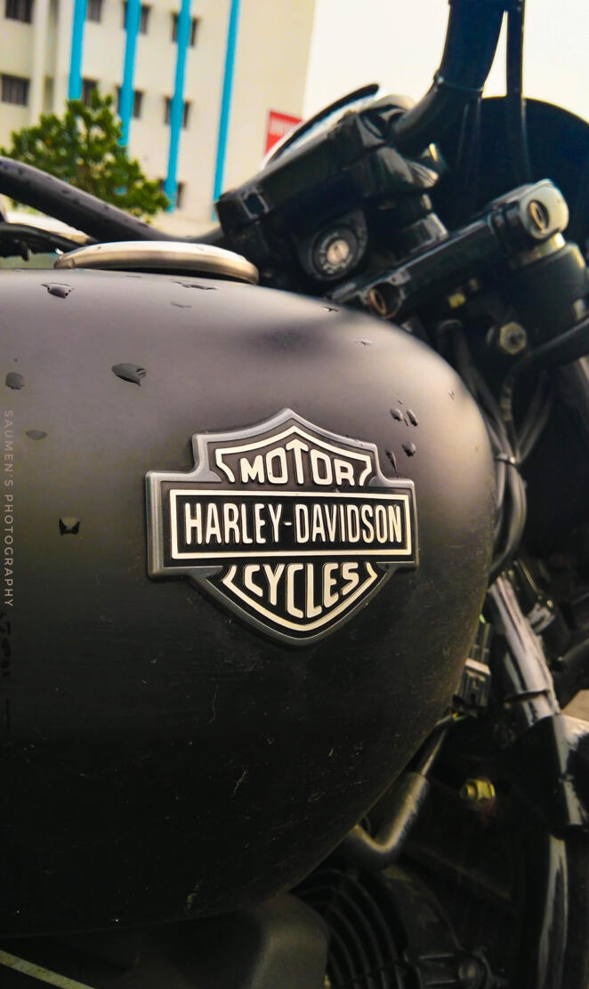 Harley Bob Marley
