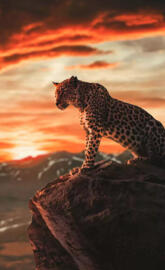 #Renowned for Agility#