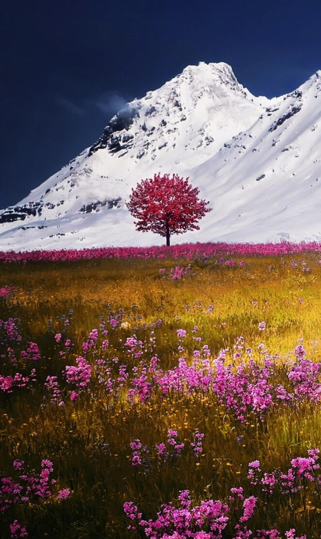 Flowery meadow