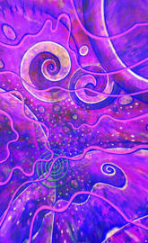 Purple Spiral Cosmos