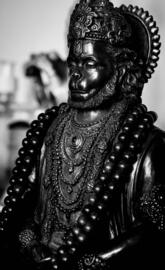 Hanuman ji idol
