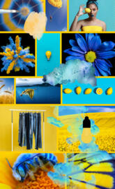 Blue Yellow Collage