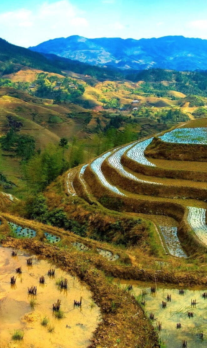 Mountains - Terraces